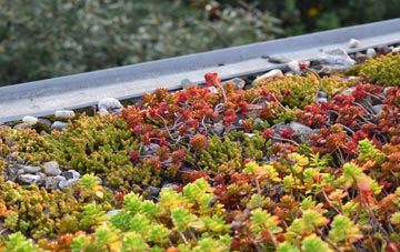 the cost of Blencarn green roof installation